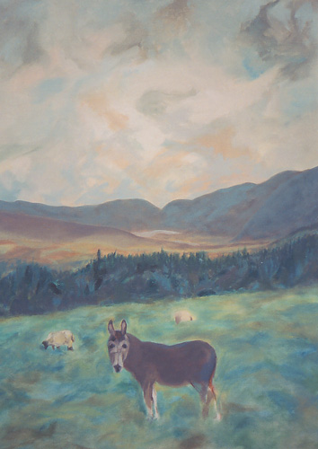 mask-faced donkey, sheep, fast Atlantic clouds, in Glencar with Magillycuddy's Reeks behind
